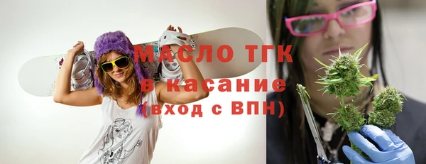 молекула духа Снежногорск
