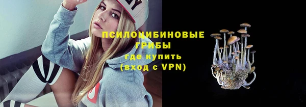 ПСИЛОЦИБИНОВЫЕ ГРИБЫ Армянск