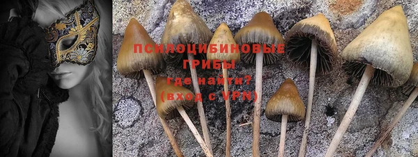 твердый Арсеньев
