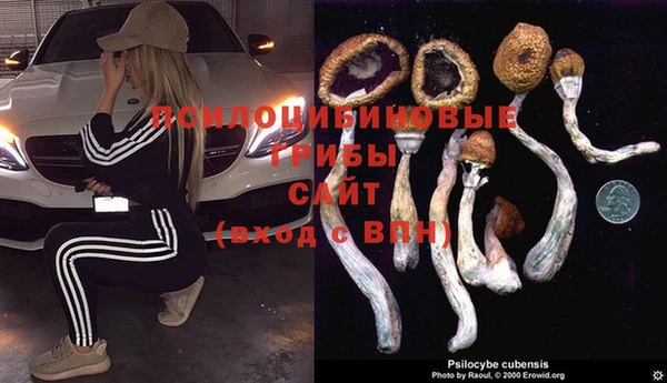 прущие крисы Аркадак