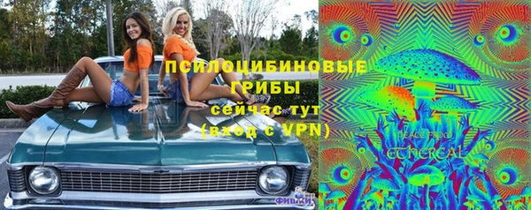 твердый Арсеньев