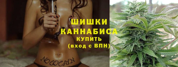 ПСИЛОЦИБИНОВЫЕ ГРИБЫ Армянск