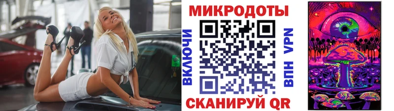 shop как зайти  Луга  Псилоцибиновые грибы Cubensis 